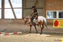 28-ApHC OT_201